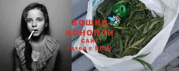 скорость Каменка
