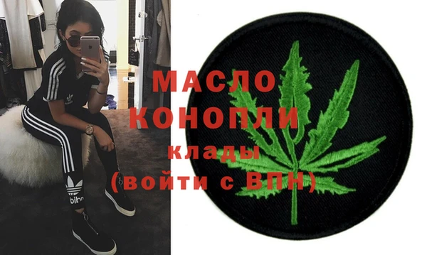 скорость Каменка