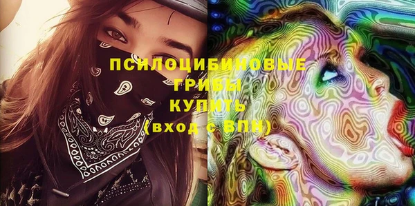2c-b Каменногорск