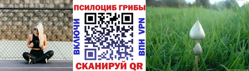Псилоцибиновые грибы GOLDEN TEACHER  Купить где  Нурлат 